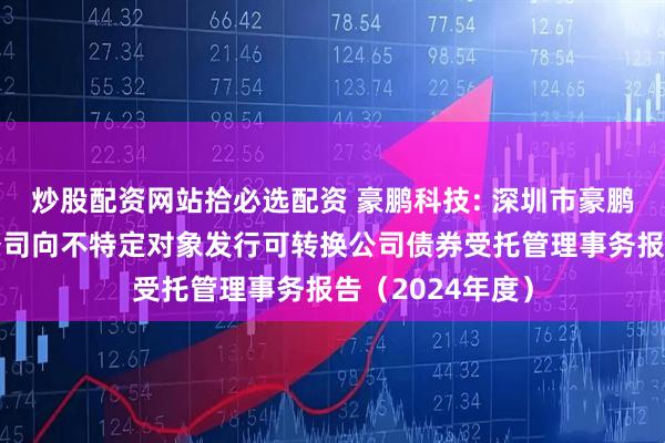 炒股配资网站拾必选配资 豪鹏科技: 深圳市豪鹏科技股份有限公司向不特定对象发行可转换公司债券受托管理事务报告(2024年度)