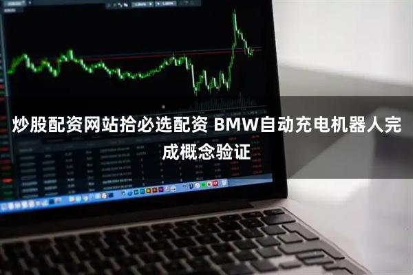 炒股配资网站拾必选配资 BMW自动充电机器人完成概念验证