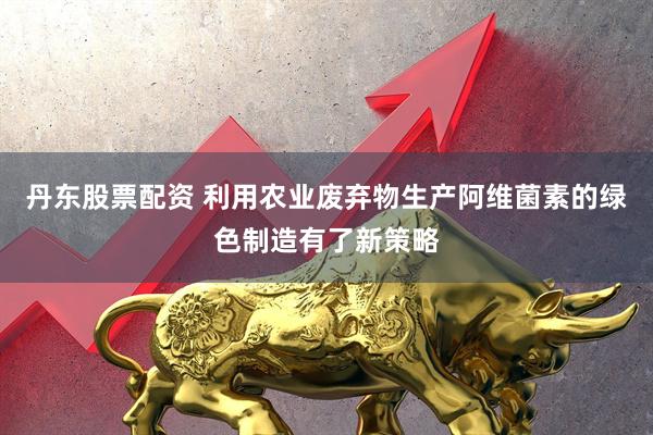 丹东股票配资 利用农业废弃物生产阿维菌素的绿色制造有了新策略