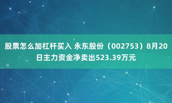 股票怎么加杠杆买入 永东股份（002753）8月20日主力资金净卖出523.39万元